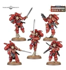 Armageddon Space Marine Vanguard Veterans x5 NEW ON SPRUE + DATA CARD
