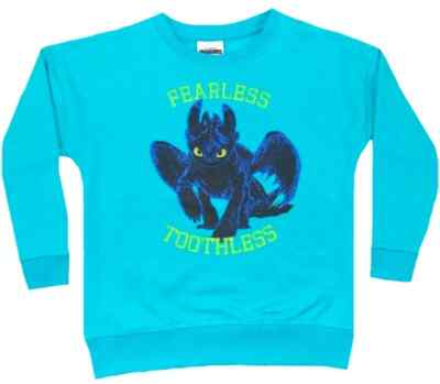 DRAGONS 116 PULLOVER PULLI BLAU SWEATSHIRT SWEAT OHNEZAHN HICKS DRACHEN FLIEGEN