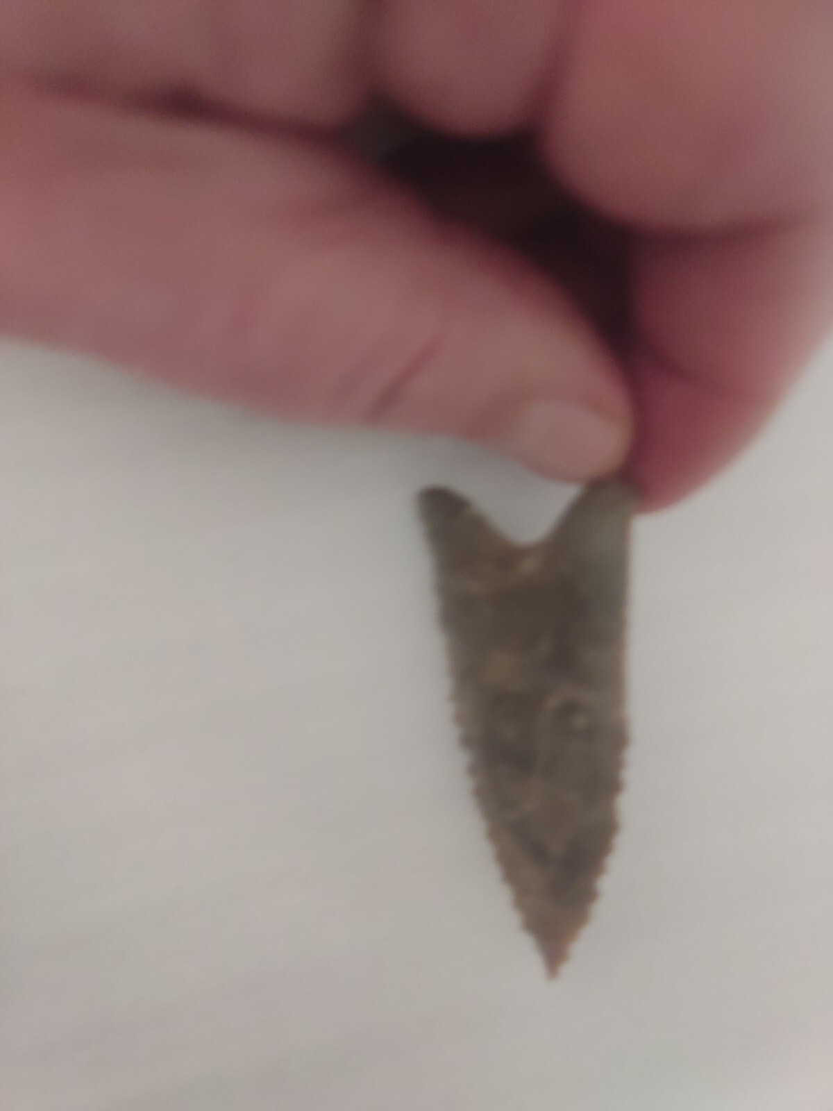 CLOVIS EARLY PALEO ARROWHEAD 2 5/8 Inch eBay
