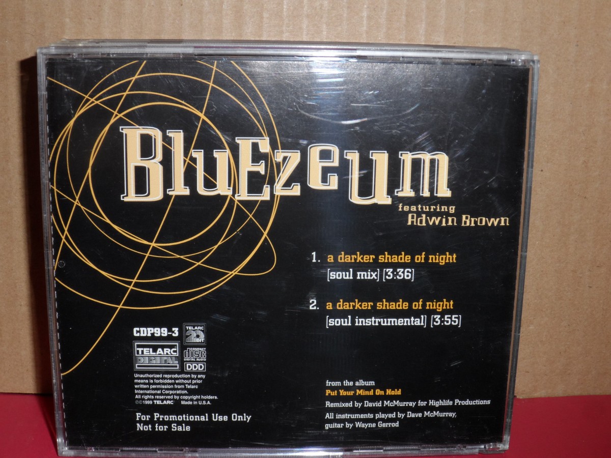 Bluezeum - A Darker Shade of Night REMIXES PROMO CD Single | eBay