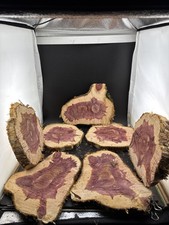 Deep Red Cedar Wood Turning Blank Cookie Live Edge Base Set Of 7 309  