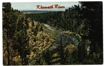 Klamath Falls Oregon Klamath River pine trees mountains unused vintage postcard