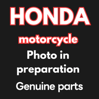 HONDA RIGHT LOWER CRANKCASE COVER 2017-2024 CBR1000RR OEM USED