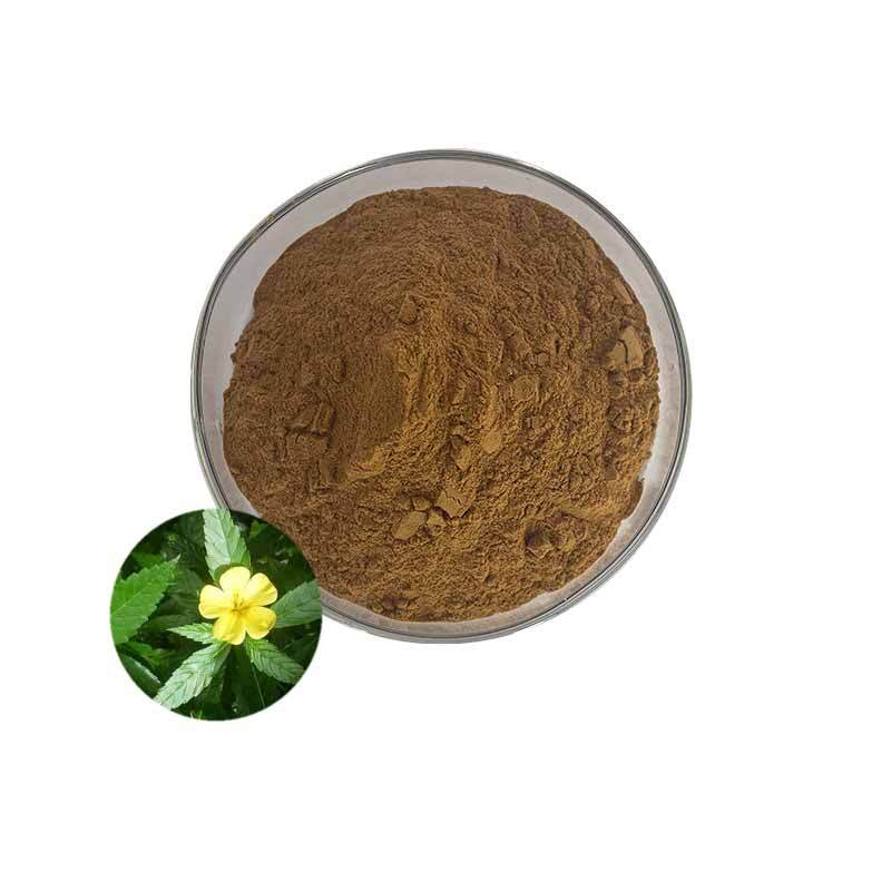 500 g extracto de damiana 10:1 polvo de extracto