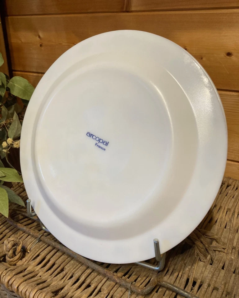 Assiettes plates x 6 " Arcopal ", oignons bleus, pièce vintage, made in France - Photo 4/4