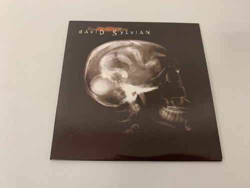 David Sylvian – Godman - 2 Track Promo CD Single © 1999