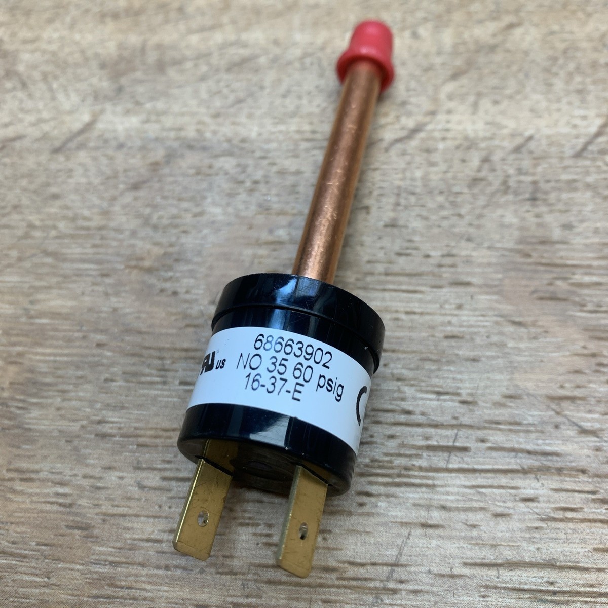 【中古】LBUILD I.W.S.P. s-l1200.jpg