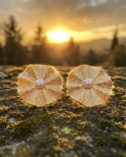"Golden Daisies at Dusk – Pearl-Centered Sunburst Earrings"