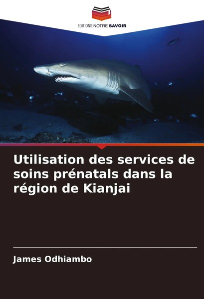 Utilisation Des Services De Soins PréNatals Dans La RéGion De Kianjai Odhiambo-image