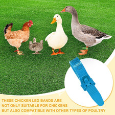 50-Pack Adjustable Chicken Leg Bands, 10-28 mm Plastic Poultry Identification...