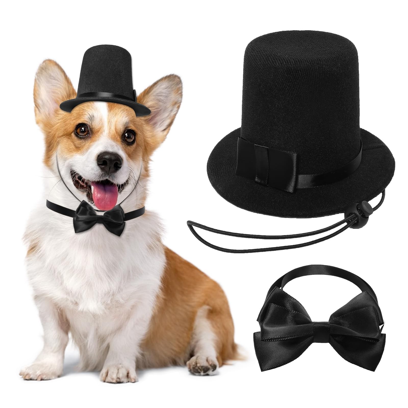 Set di Accessori per Cani - Cappello Nero 2 Pezzi