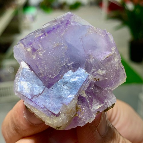 62G Rare transparent purple green cubic fluorite mineral crystal sample/China - Picture 9 of 13