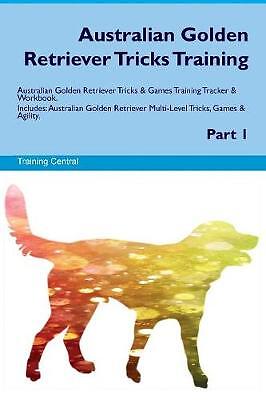 Australian Golden Retriever Tricks Training Austra