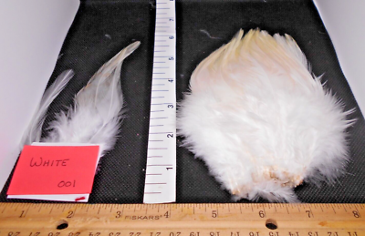 #ad Freshwater Strung Saddle Hackle 3quot; 5quot; 1 4 oz packages 19 colors available $4.25