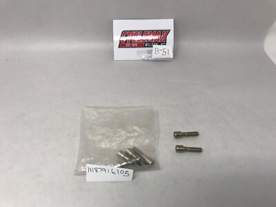 Stihl Collar Pan Head Screw OEM PN 11187916105 Fits 038, TS350, TS360 NOS QTY 2