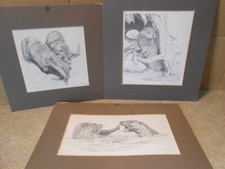 British Otter pencil drawings prints   x 3  by Bruce  Sutton on card
