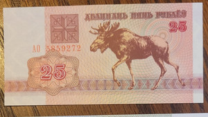 BELARUS UNCIRCULATED 25 KOPEKS BANKNOTE,  Combined Shipping Given.