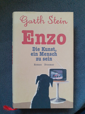 Enzo - Die Kunst,  ein Mensch zu sein 