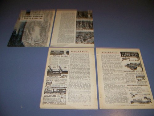 VINTAGE..1951 WILD BOAR HUNTING NORTH CAROLINA.HISTORY/DETAILS..RARE! (975S) - Picture 1 of 4