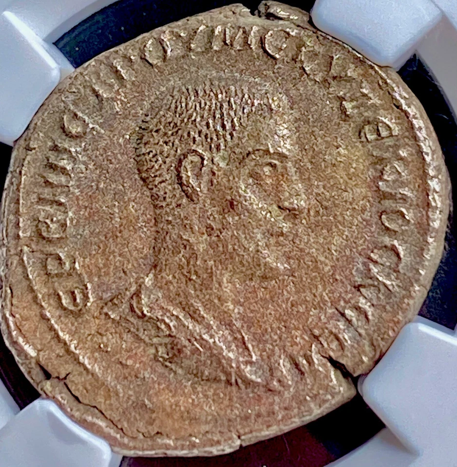 Ancient Roman Tetradrachm Coin Herennius Etruscus as Caesar 251AD NGC Certified - Image 2 of 4