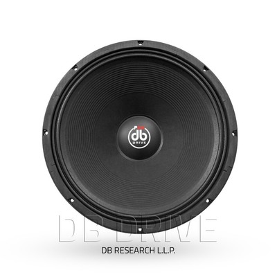 p audio 21 inch speaker