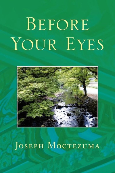 Before Your Eyes Joseph Moctezuma Taschenbuch Kartoniert / Broschiert Englisch-image