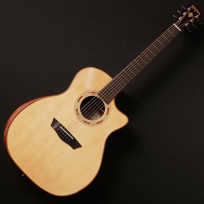 Washburn G20SCE