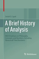 A Brief History Of Analysis | Detlef D. Spalt | Taschenbuch | Xxiii | Englisch
