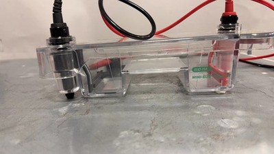 Bio-Rad Mini-Sub Cell GT Horizontal Electrophoresis Systems 150 Volt DC 10 Watts