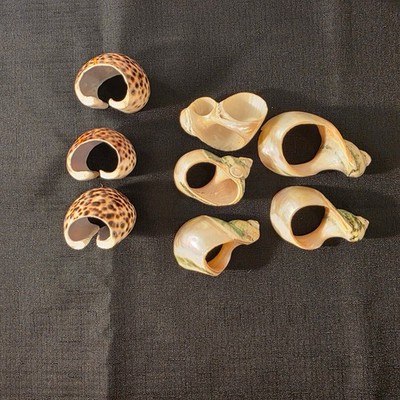 Napkin Rings Conch Shells and Tiger Cowrie Shells Set of 8 Beach Decor Sea
