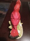 Cardinal Head UP Hand Painted Lefton China on flowers some discoloration RW464 — photo 5
