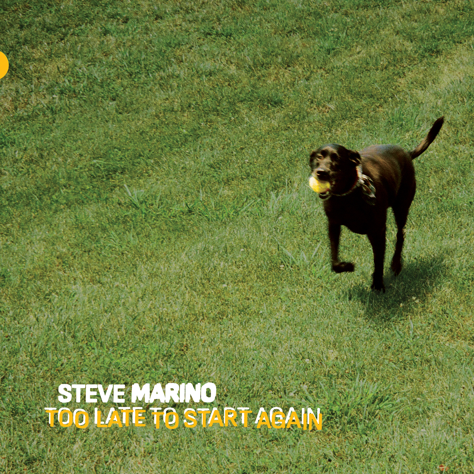 Steve Marino Too Late to Start Again (Vinyl LP) 12" Album