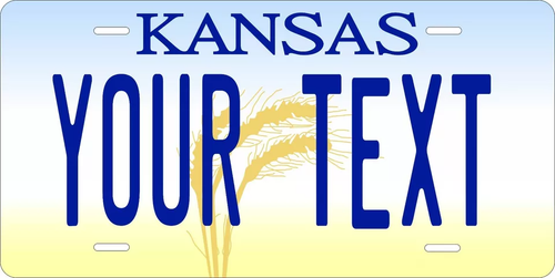 Any State Any Text 250 Custom License Plate Personalized US Canada Mexico - Picture 97 of 250