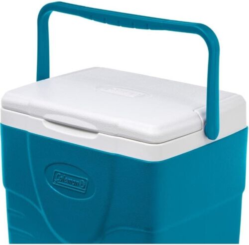 9qt Insulated Cooler Lunch Box, Portable Hard Cooler with Ice Retention & Hea... - 第 6/8 張圖片