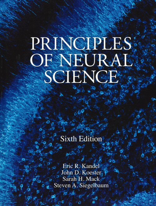 PRINCIPLES OF NEURAL SCIENCE AA.VV.