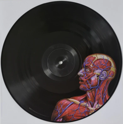 Tool - Lateralus [Full Color Picture Disc] 2x Vinyl LP