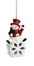 NFL San Francisco 49ers SNOWMAN LED Ornament, NEW