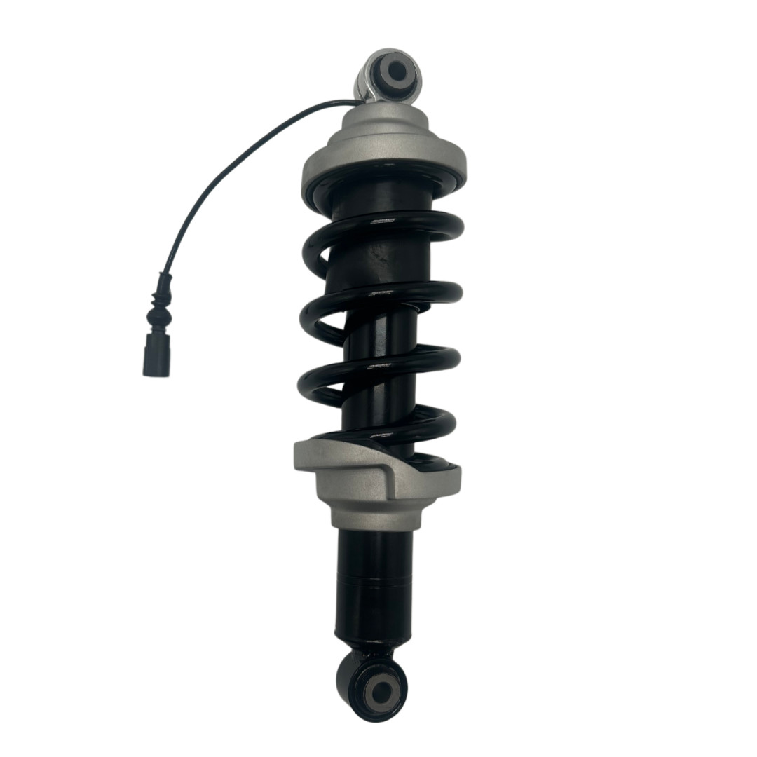 Audi R8 2016-2021 REAR+LEFT, RIGHT Adaptive damper