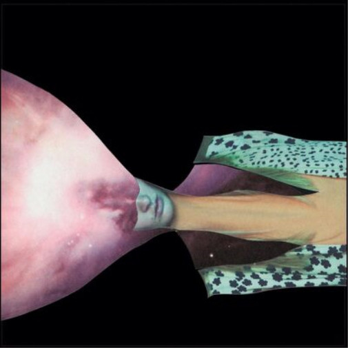 Раскрашенный щит Альбом Painted Shield 2 (CD)