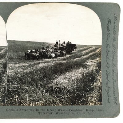 Washington State Combine Harvest Stereoview c1901 Farming Reaper Thresher I392
