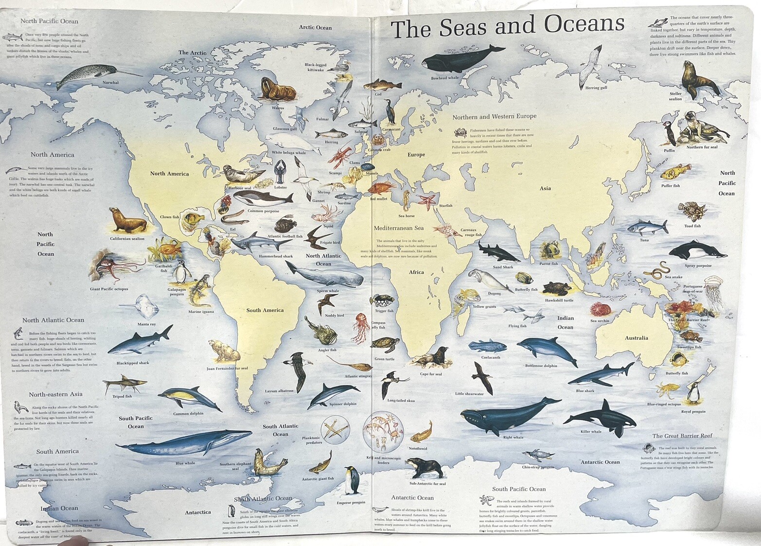 The Great Animal Atlas Book By Gillian Standring Board Book 10.75
