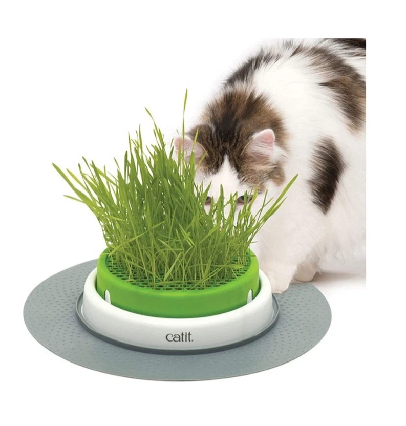 Catit Senses 2.0 Grass Planter with Grid Cover Indoor Cat Grass Kittens - Image 2 of 4