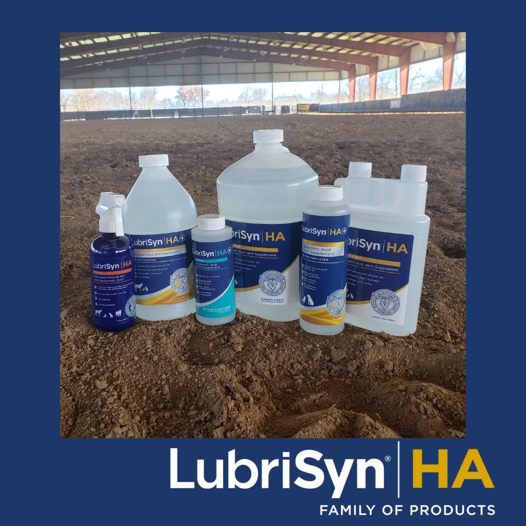 Hyaluronic Acid + MSM Joints Supplement, 16oz: Natural Pure HA Liquid Dog and...