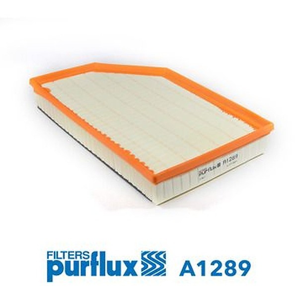 Purflux Luftfilter Motorluftfilter Filter FüR Volvo S60 II V60 I 06-18 A1289-image