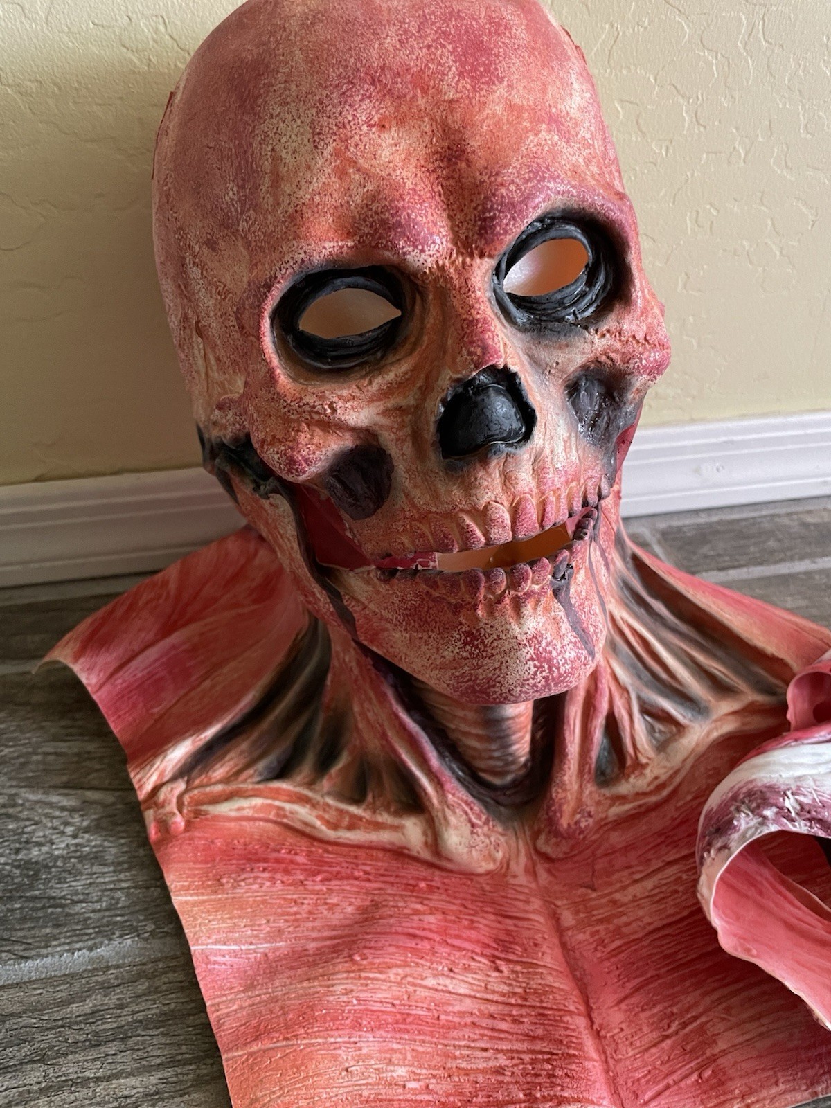 Picture 4 of 5
