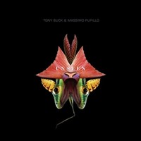 Massimo Pupillo, Tony Buck: Unseen - 375 Media - (Cd / U)
