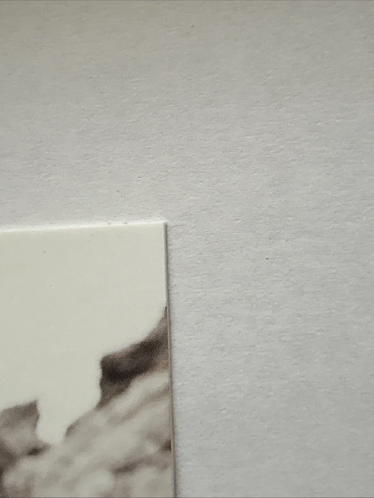 Picture 5 of 6