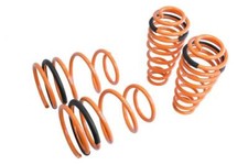 Megan Racing Lowering Springs For Ford Mustang 2005-2014 Mr-ls-fm05 Megan Racing Lowering Springs For Ford Mustang 2005-2014 Mr-ls-fm05