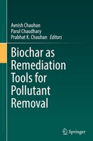 Biochar As Remediation Tools For Pollutant Removal Avnish Chauhan