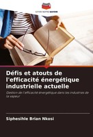 Siphesihle Brian Nkosi | DéFis Et Atouts De L'efficacité éNergéTique...